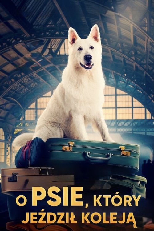 Lampo: O Cão Viajante Torrent (2023) WEB-DL Dual Áudio